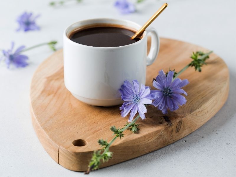 inulin-nedir